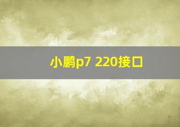 小鹏p7 220接口